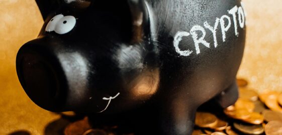 Meu Primeiro Milhão: Guia Estratégico para o Primeiro Milhão: Planejamento e Economia.